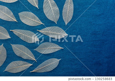 Autumn leaves background. Skeleton leaves on a blue texture, with copy space 130258683