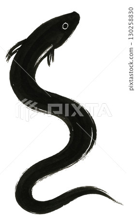 Eel illustration 130258830