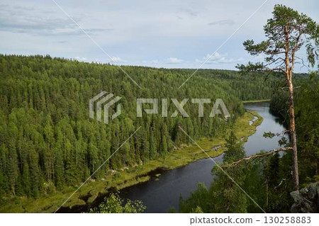 A Serene Forest Landscape Featuring a River that Embodies Natural Harmony and Beauty A Serene Forest Landscape Featuring a River that Embodies Natural Harmony and Beauty 130258883
