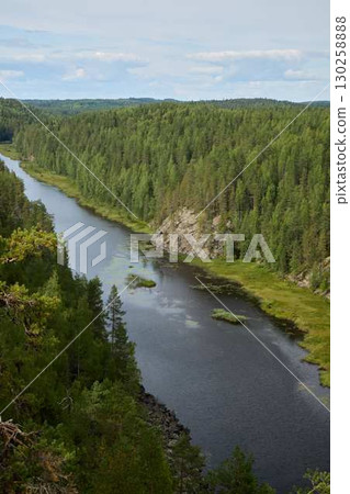 A Serene River Gently Flowing Through a Lush Green Forest Landscape That Enchants the Senses 130258888