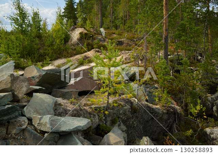A Serene Rocky Landscape Beautifully Surrounded by a Lush, Vibrant Forest of Greenery A Serene Rocky Landscape Beautifully Surrounded by a Lush, Vibrant Forest of Greenery 130258893