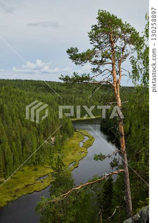 A Serene River Meandering Gracefully Through a Lush and Vibrant Green Forest Landscape A Serene River Meandering Gracefully Through a Lush and Vibrant Green Forest Landscape 130258897