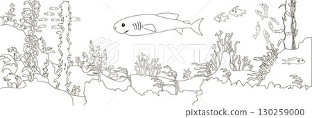 Pacific sleeper shark underwater wildlife. Black and white line art. Beautiful silhouette seascape 130259000
