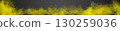 Very long yellow gradient futuristic vibrant smoke cloud. Vector realistic magic color haze panorama 130259036