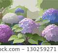 繡球花和風景 130259271