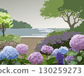 繡球花和風景 130259273