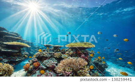 Underwater scenery of colorful coral reefs and tropical fish bathed in sunlight 130259441
