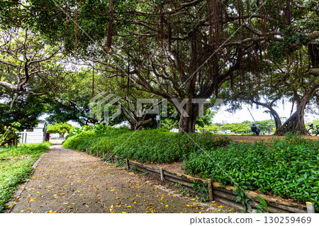 長廊 長廊 130259469