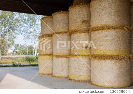 Round hay bales stacked neatly inside a barn, providing a warm and dry storage solution for livestock feed, ensuring nourishment during the cold winter months ahead Round hay bales stacked neatly inside a barn, providing a warm and dry storage solution for livestock feed, ensuring nourishment during the cold winter months ahead 130259664