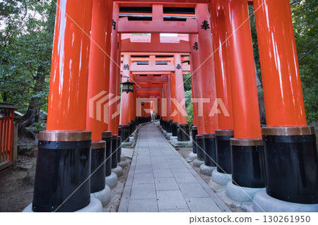Inari Shrine: Thousand Torii Gates in the grounds of Fushimi Inari Taisha Shrine 2 Inari Shrine: Thousand Torii Gates in the grounds of Fushimi Inari Taisha Shrine 2 130261950