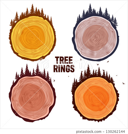 Round tree trunk cuts with trees, forest and birds. Sawn pine or oak slices, lumber. Saw cut timber, wood. Brown wooden texture with tree rings. Hand drawn sketch. Vector illustration 130262144