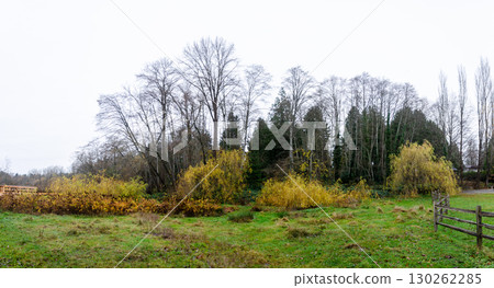 Burnaby Deer Lake Park, BC, Canada 130262285
