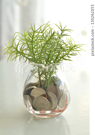 plant in glass jar plant in glass jar 130262855