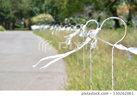 white rope wrapped in a white paper white rope wrapped in a white paper 130262861