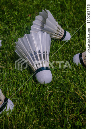 White badminton shuttlecocks on fresh green grass, symbolizing summer sport, leisure, and recreation.. High quality photo 130263756