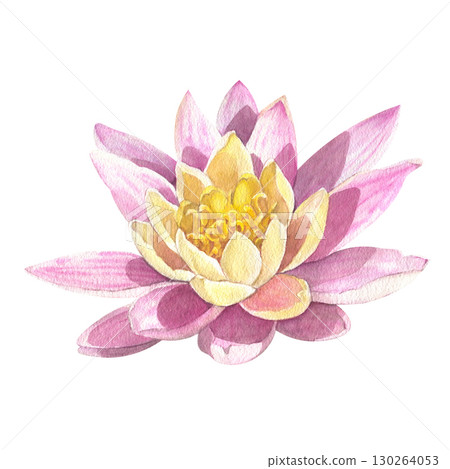Watercolor illustration. Chinese water lily. An element for the design of invitations, movie posters, fabrics and other items. 130264053