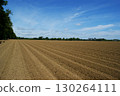 The endless ranks of the beds are ready for the growth of the new crop. A large plowed agricultural field. 130264111