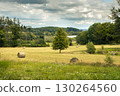 Late summer landscape with straw bales, trees on meadow and lake, Czechia 130264560