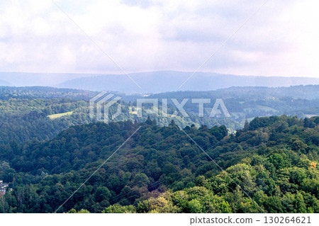 Green forest natural landscape on the mountain in summer. Beautiful colorful summer spring natural landscape in Park surrounded by green foliage of trees in sunlight. High quality photo Green forest natural landscape on the mountain in summer. Beautiful colorful summer spring natural landscape in Park surrounded by green foliage of trees in sunlight. High quality photo 130264621