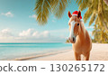beautiful brown horse symbol of chinese new year 2026 on the background of sandy beach on vacation at sea with palm trees in santa claus hat 130265172
