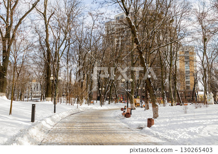 Empty benches covered with snow in winter park 130265403