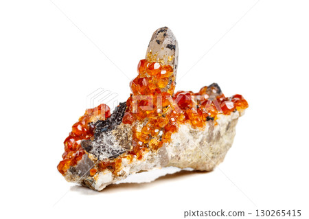 macro mineral stone Spessartine, orange, red garnet with quartz on white background macro mineral stone Spessartine, orange, red garnet with quartz on white background 130265415