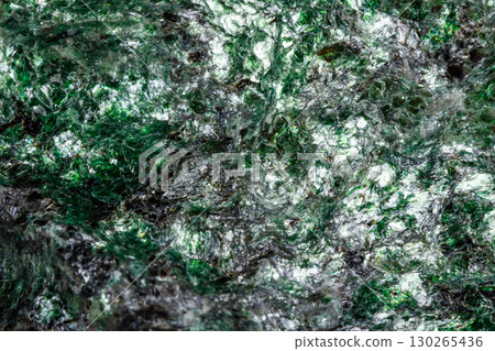 Macro mineral stone Fuchsite on a white background Macro mineral stone Fuchsite on a white background 130265436
