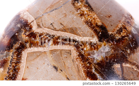 Macro mineral stone Simbirzit and Septaria on white background 130265649