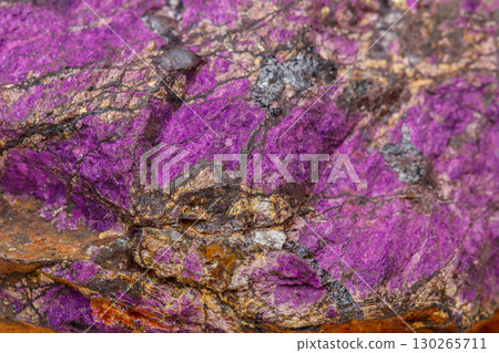 Macro mineral stone purpureus, (purple) purpurite in the breed a white background 130265711