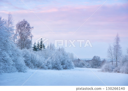 Beautiful winter landscape with field of white snow and forest on horizon on sunny frosty day 130266140