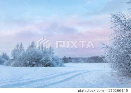 Beautiful winter landscape with field of white snow and forest on horizon on sunny frosty day Beautiful winter landscape with field of white snow and forest on horizon on sunny frosty day 130266146