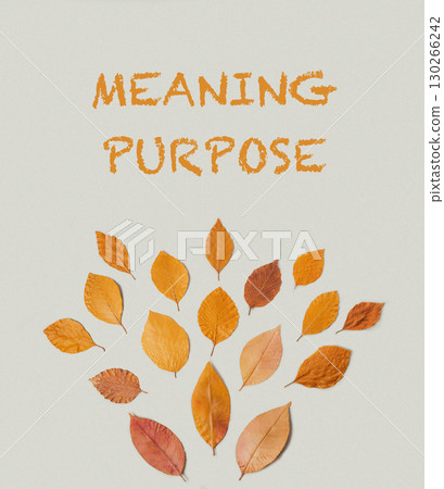 The leaves are arranged in a circular pattern, with some overlapping 130266242
