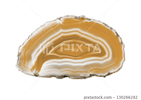 Painted Brown Agate Slice with White Veins on White Background for Jewelry 130266282
