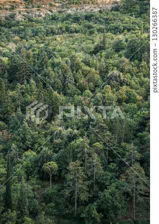 Green Forest Hill Landscape from Above. Nature Background 130266387