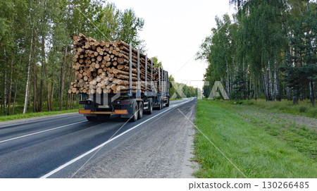 Long heavy industrial wood carrier cargo vessel truck trailer with big timber driving on highway road. Back view. Timber export and shipping concept Long heavy industrial wood carrier cargo vessel truck trailer with big timber driving on highway road. Back view. Timber export and shipping concept 130266485