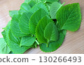 A Cuban oregano leaf or Plectranthus amboinicus on a table, ready to be used for cooking. It has a pungent, spicy aroma, similar to oregano. 130266493