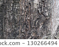 Background Pattern, Dark brown tree bark features beautiful, deep cracks and rugged textures, showcasing the passage of time in a naturally artistic way. 130266494