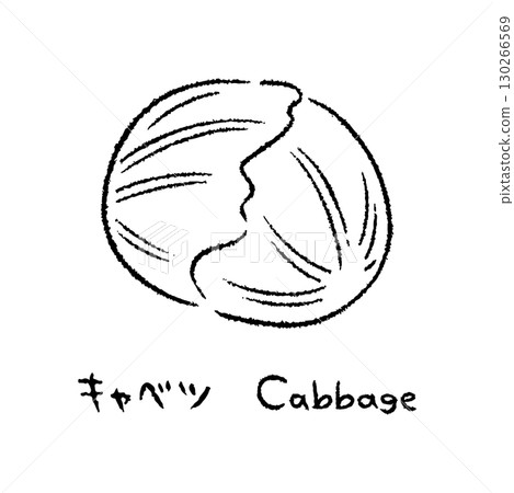 Hand-drawn cabbage 2_Name included_Black and white 130266569