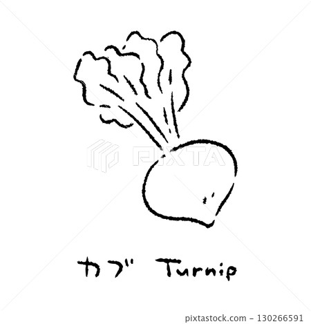 Hand-drawn turnip 2_Name_Black and white Hand-drawn turnip 2_Name_Black and white 130266591