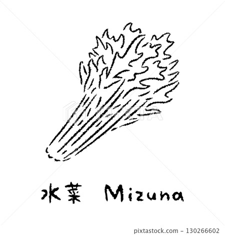 Hand-drawn Mizuna 2_Name Included_Black and White Hand-drawn Mizuna 2_Name Included_Black and White 130266602