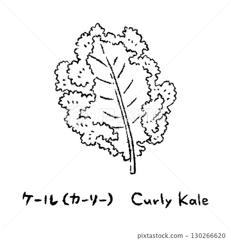 手繪羽衣甘藍2_名稱_黑白 130266620
