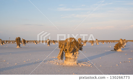 A row of old wooden pillars in the salt lake Baskunchak, Astrakhan region, Russia. A row of old wooden pillars in the salt lake Baskunchak, Astrakhan region, Russia. 130266773