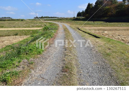 山形縣莊內市農道與田園風光 130267511