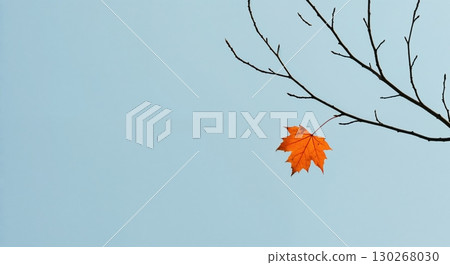 A single vibrant orange maple leaf clings to a sparse, dark tree branch against a clear, pale blue sky, showcasing the beauty of autumn's final moments. 130268030