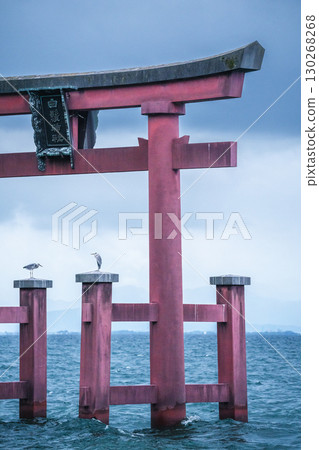Birds perch on the torii gate of Shirahige Shrine, Japan Birds perch on the torii gate of Shirahige Shrine, Japan 130268268