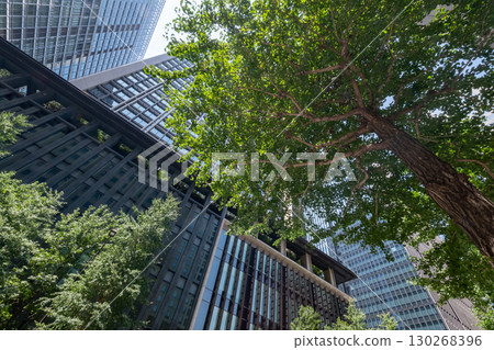 Landscape of the office area with green Landscape of the office area with green 130268396
