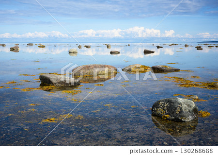 Tranquil coastal landscape with rocks and seaweed in calm White Sea reflecting blue sky in water in Karelia, Russia, natural background Tranquil coastal landscape with rocks and seaweed in calm White Sea reflecting blue sky in water in Karelia, Russia, natural background 130268688