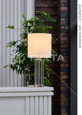 A Modern Table Lamp featuring a Green Plant nestled in a chic Contemporary Setting A Modern Table Lamp featuring a Green Plant nestled in a chic Contemporary Setting 130268797
