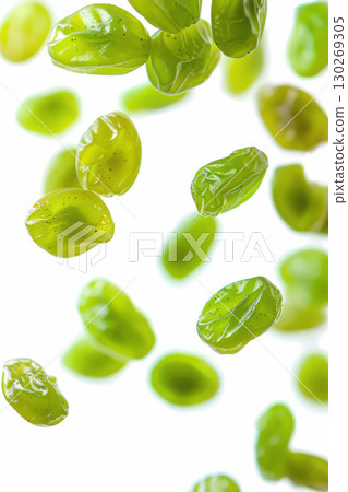 bean sprouts midair background green white general simple background 130269305