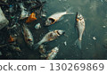 aerial view water fish debris plastic bottles including 130269869